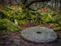 Old Millstone on the forest floor Royalty Free Stock Photo